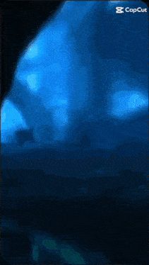 a blue background with the word capcut in the corner