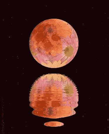 a reflection of a full moon with flowers on it