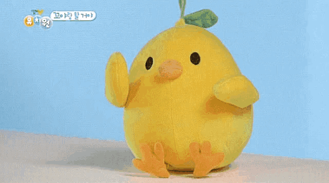 a yellow stuffed chicken with a green leaf on its head is sitting on a table with a blue background