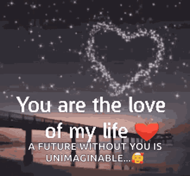 a picture of a bridge with the words " you are the love of my life "