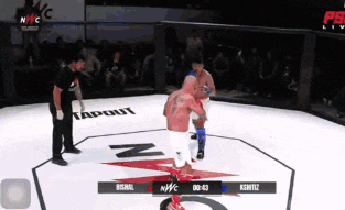 two men are fighting in a ring with tapout written on the ground