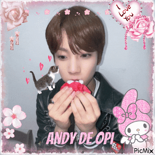 a picture of a boy with the name andy on it