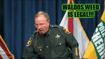 a man in a sheriff 's uniform stands in front of flags and says waldo weed is legal