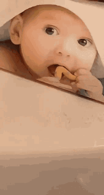a baby is chewing on a toy and the word bab is on the bottom right