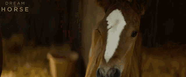 Baby Horse Dream Horse GIF - Baby Horse Dream Horse Foal GIFs