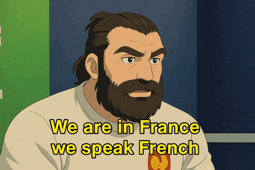 a cartoon of a man with a beard and the words we are in france we speak french