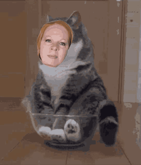 a cat with a woman 's face on it sitting in a bowl