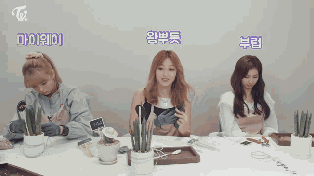 three girls are sitting at a table with potted plants and the word twice on the bottom