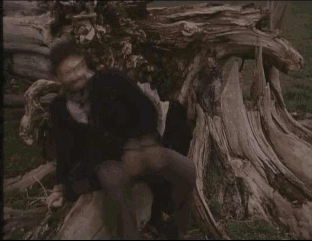 a man with a beard sits on a tree trunk