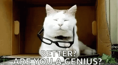 Are You A Genius Cat GIF - Are You A Genius Cat Cats GIFs