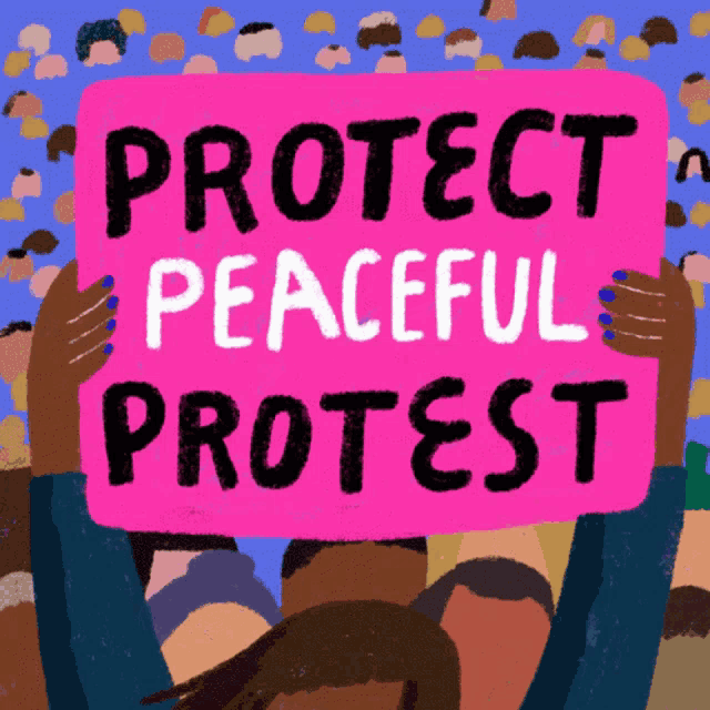 a pink sign that says protect peaceful protest on it