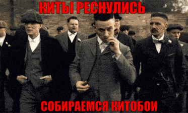 киты кит GIF - киты кит собираемся GIFs