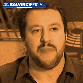 Mi Fai Parlare Posso Matteo Salvini GIF