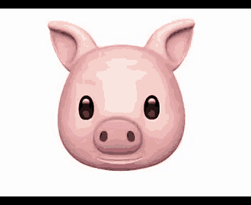 a close up of a pig 's face with a smiling face .