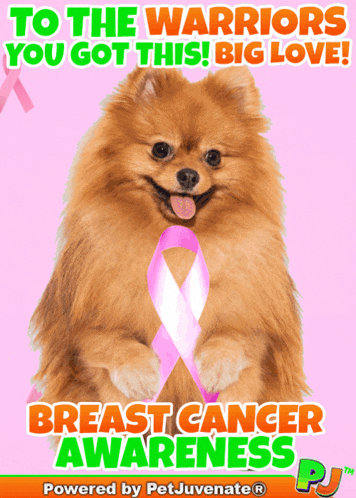 a pomeranian dog with a pink ribbon around its neck and the words " to the warriors you got this big love "