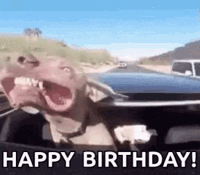 a dog is driving a car with its mouth open and says `` happy birthday ! ''