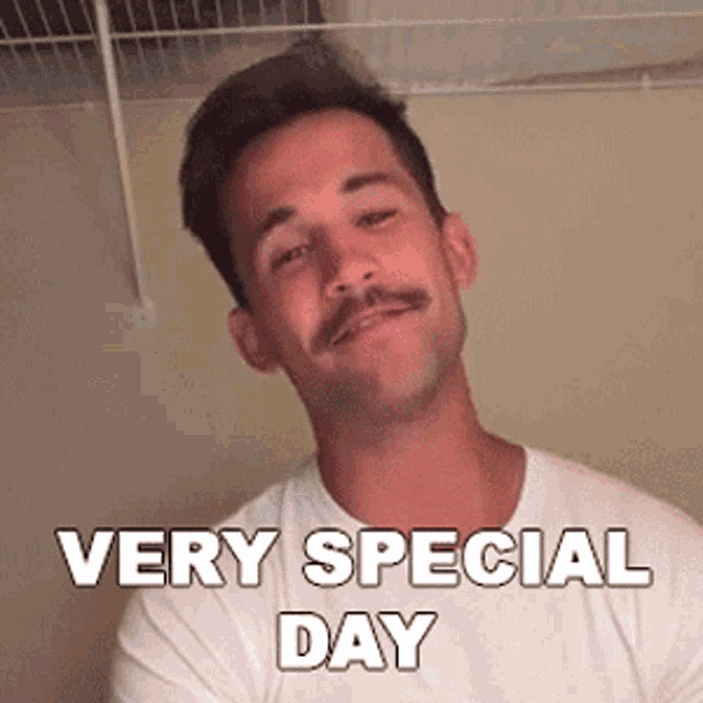 Very Special Day Dez Duron GIF - Very Special Day Dez Duron Cameo GIFs
