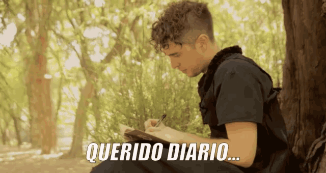 a young man sits under a tree writing in a notebook with the words querido diario written above him