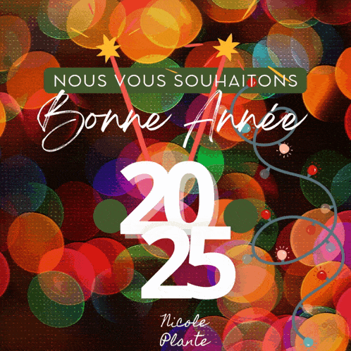 a colorful greeting card that says nous vous souhaitons bonne année