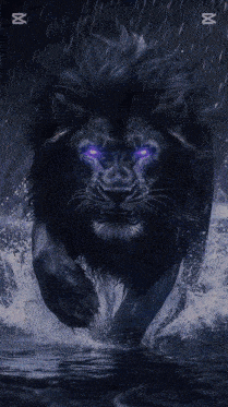 a black lion with purple eyes runs through the water