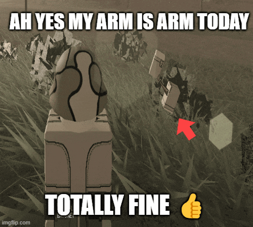a meme that says ah yes my arm is arm today