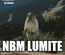 a groundhog standing on its hind legs with the words " nbm lumite " above it