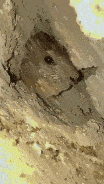 a painting of a hole in a wall that looks like a hole in the ground