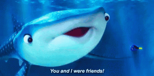a whale shark is saying `` you and i were friends ! ''