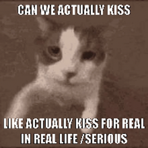 Kiss Can We Kiss GIF - Kiss Can We Kiss Srs GIFs