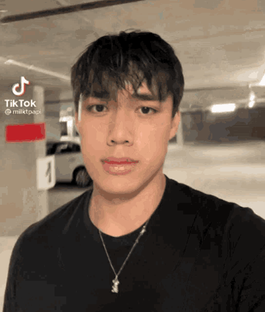 a young man wearing a black shirt and a silver necklace has a tiktok icon on his face