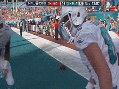Dolphins Celebration GIF - Dolphins Celebration Foot Ball GIFs