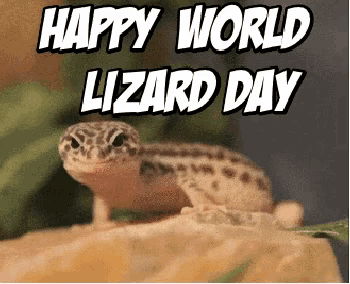 a lizard is sitting on a rock with the words happy world lizard day below it