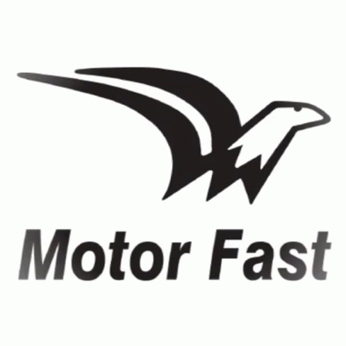 Motorfast GIF - Motorfast GIFs