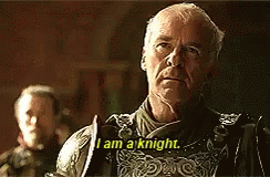 Knight GIF - Knighnt Armor I Am A Knight GIFs
