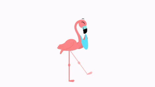 Flamingo Flamingo Halay GIF - Flamingo Flamingo Halay Halay Flamingo GIFs