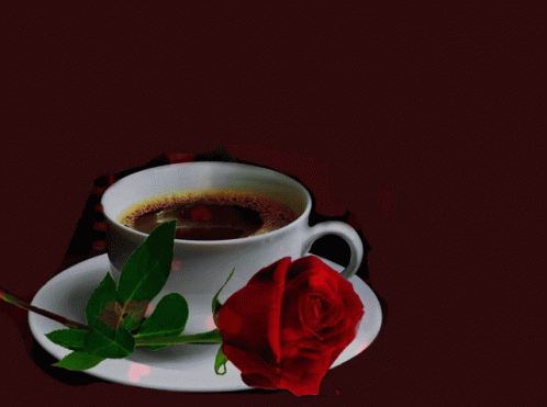 кафе Coffee GIF - кафе Coffee Rose GIFs
