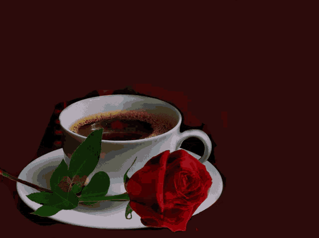 a cup of coffee and a rose on a saucer