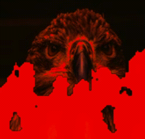 a statue of an eagle is surrounded by a red background
