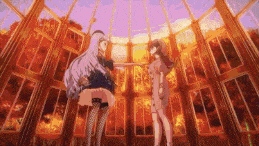 two anime girls are standing next to each other in a greenhouse with a lot of windows .