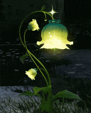 a plant with a light coming out of it 's flower
