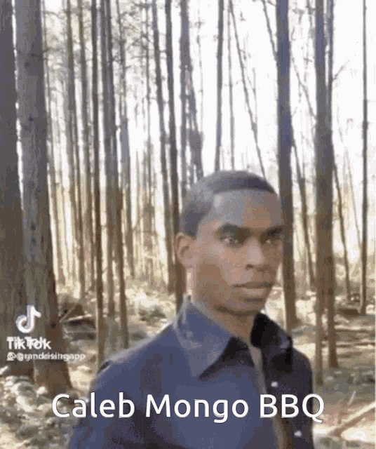 a man in a blue shirt is standing in the woods with trees in the background .