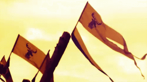 Baratheon Flag GIF - Baratheon Flag Got GIFs