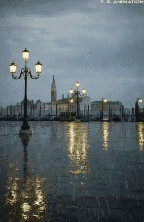 a rainy day in venice with a street light in the foreground and a city in the background