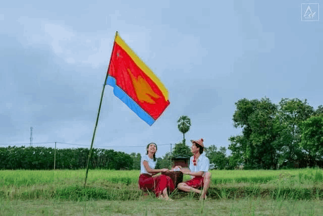 a man and woman are sitting in a field holding hands under a flag .
