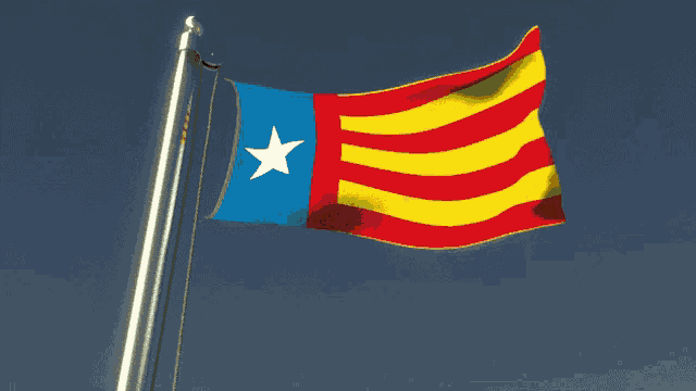 a blue yellow and red flag with a white star