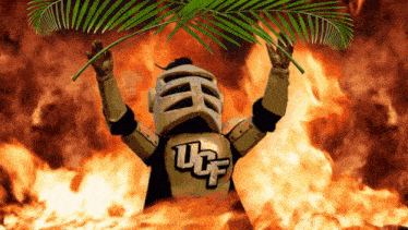Ucf Fire Fronds Knightro GIF - Ucf Fire Fronds Ucf Knightro GIFs