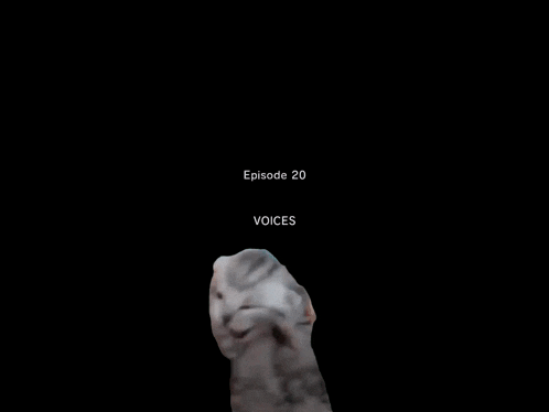 a kitten with its mouth open and the words episode 20 behind it