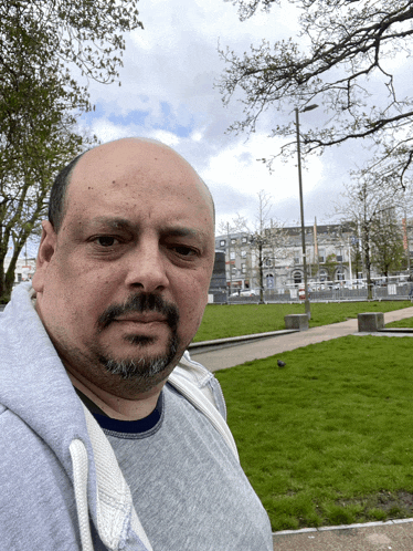 a bald man with a beard wearing a grey shirt stands in a park