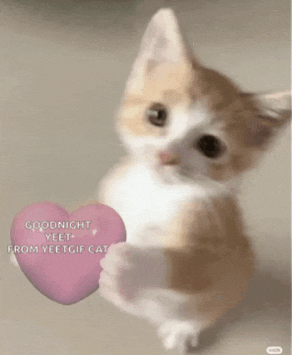a kitten is holding a pink heart with the words goodnight yeet from yeetgif cat