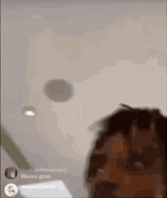 a blurred image of a person with the name philbert.birth on the bottom